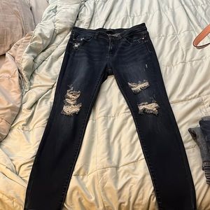 Brand New Judy Blue Skinny Jeans